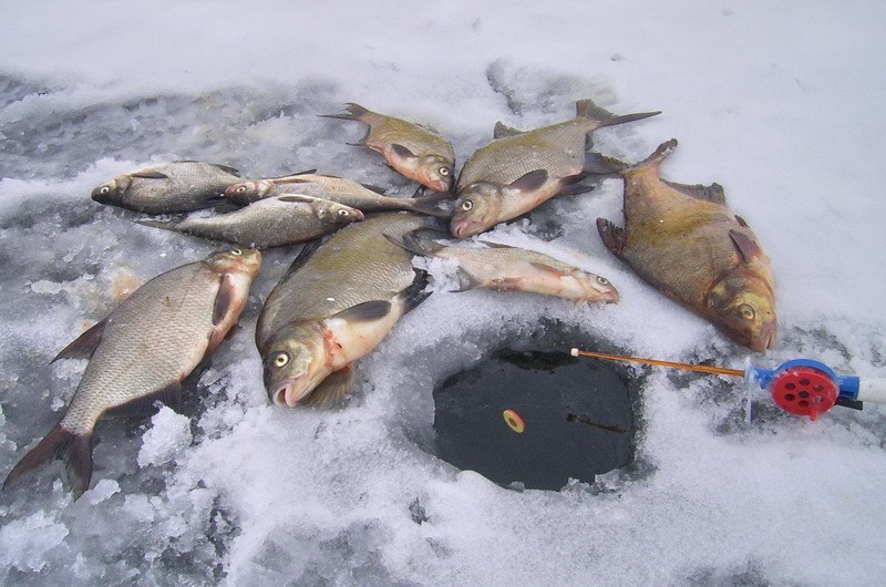 поплавки для рыбалки зимой