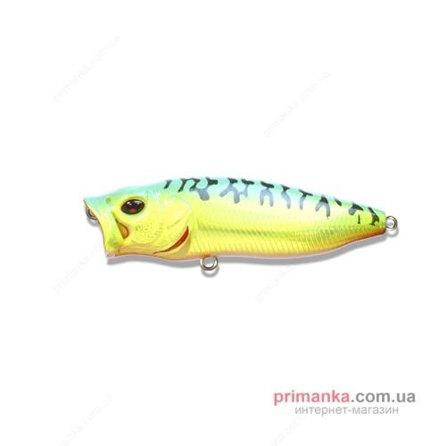 Файл:Kosadaka Takao 55F HT .jpg