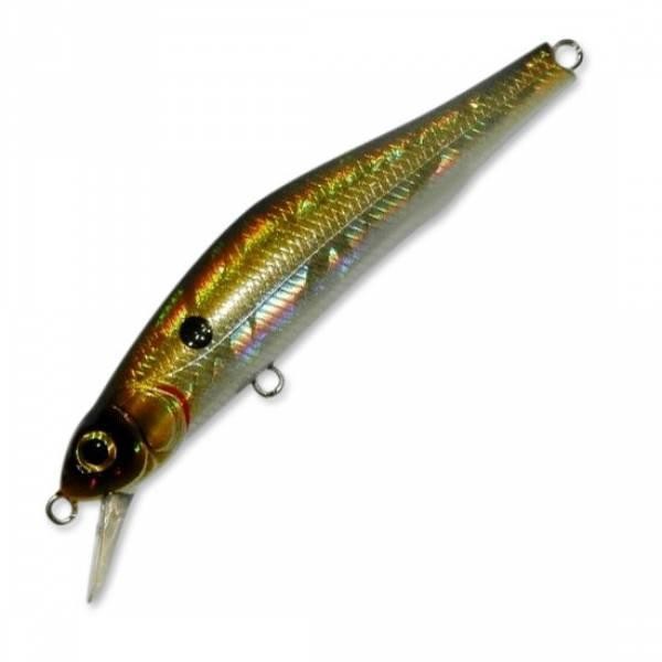 Файл:Kosadaka Mascot XS 110F GTR .jpg