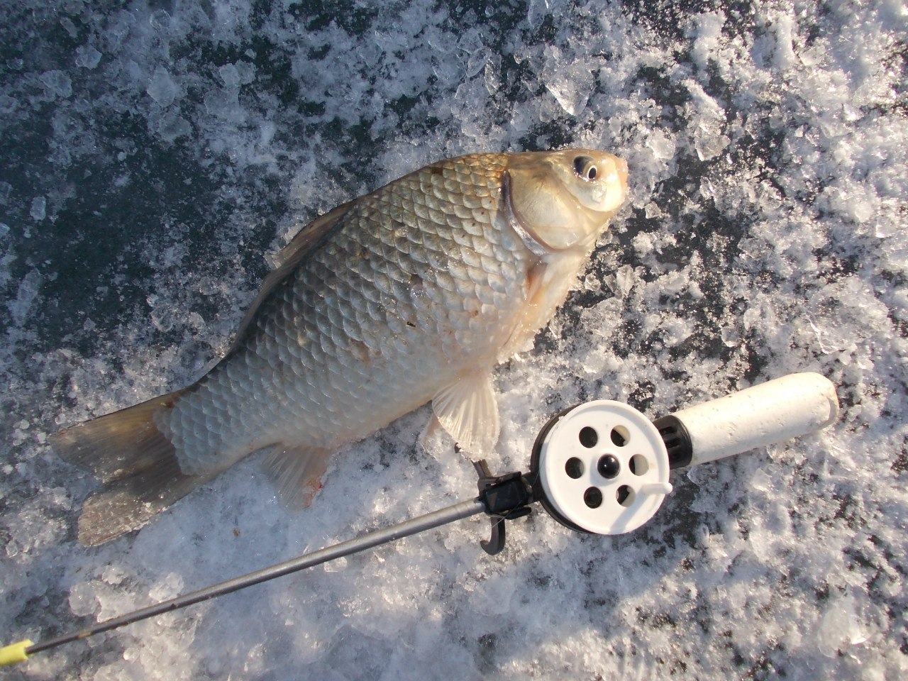 Рыбалка на карася зимой