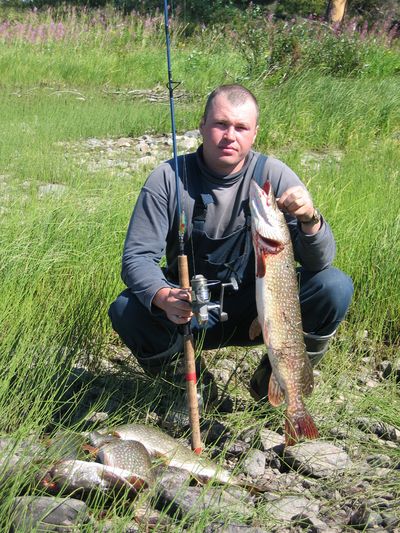Рыбалка в тайге на озерах и реках летом: советы и рекомендации