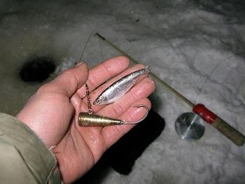 Все статьи о рыбалке в Новосибирске и НСО