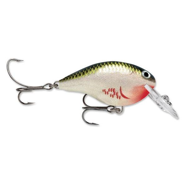 Файл:Rapala Dives-To DT06 S .jpg
