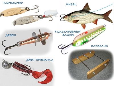Ловля жереха на Волге - советы и рекомендации для успешной рыбалки