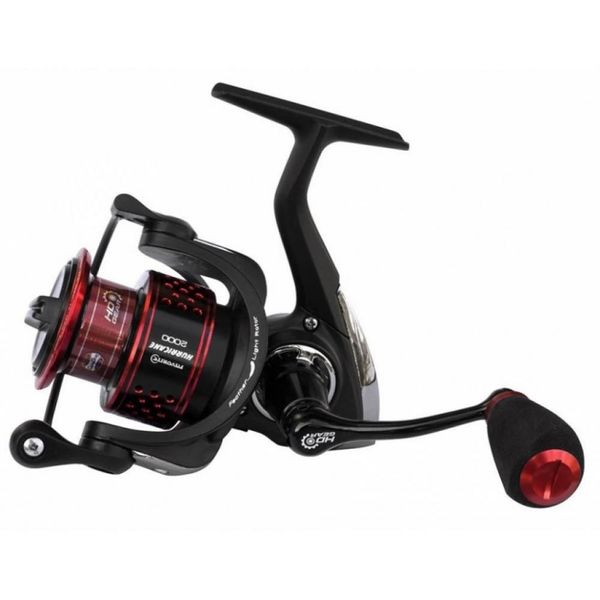 Файл:Favorite Hurricane 2500.jpg